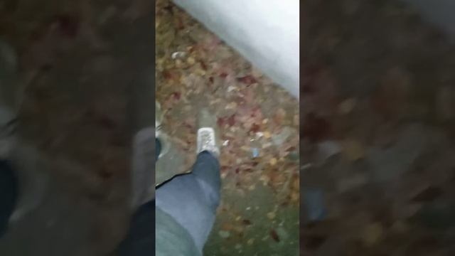 простые интриги, лёгкие белки смотреть онлайн