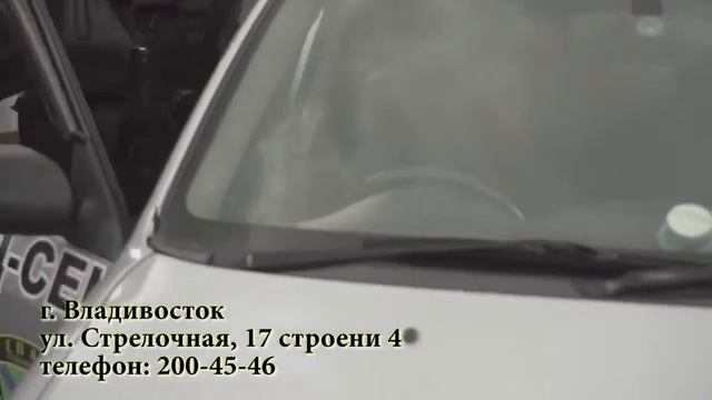 Гепард Секьюрити смотреть онлайн