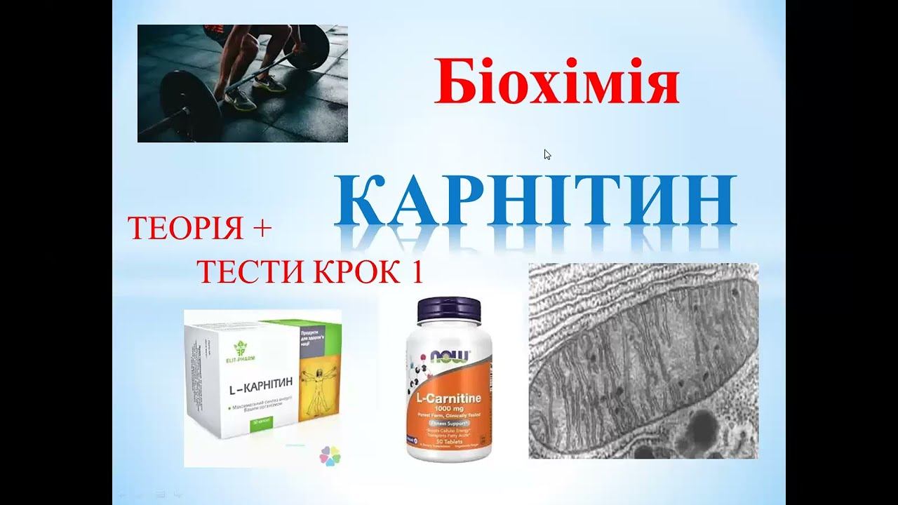 Карнітин: теорія +тести КРОК 1 Біохімія смотреть онлайн
