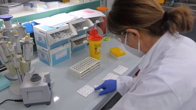 TROPPO POCHI E DIVISI смотреть онлайн