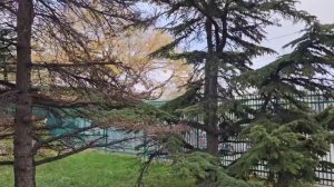 19. Новый этап жизни