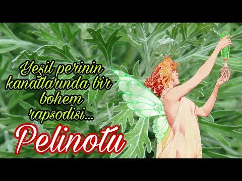 Pelinotu - Artemisia absinthium смотреть онлайн