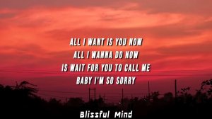 Rebzyyx   all i want is you Lyrics ft  hoshie star