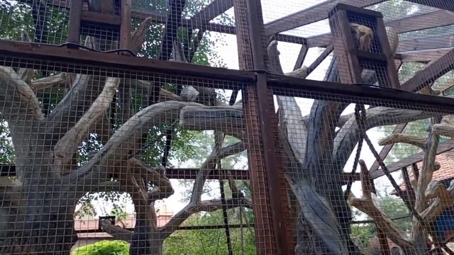 Воскресное путешествие в сказочный парк смотреть онлайн