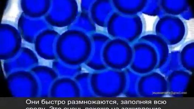 Прорыв в борьбе со старением! Пишите в скайп zakromag.ru смотреть онлайн