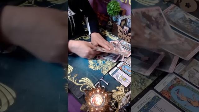 Какая тупица в вашу дверь ломится? смотреть онлайн