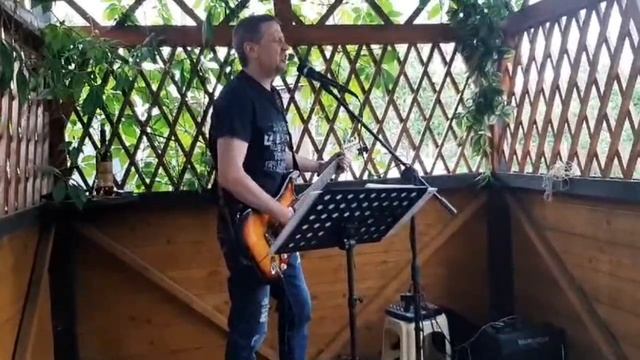 Кони Привередливые