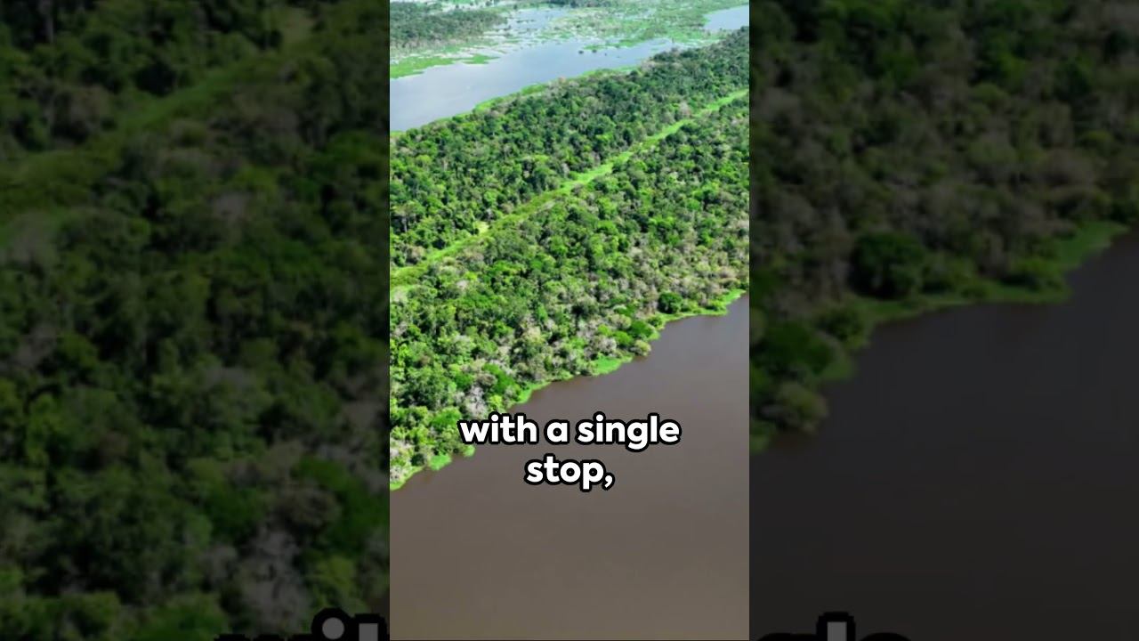 Debunking The Climate Tipping Point Myth 2024