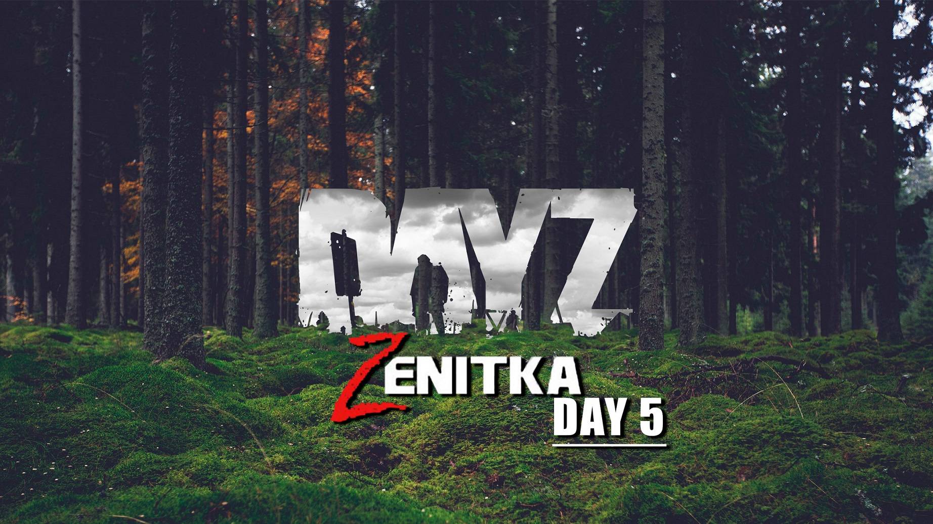 Проводим вечер в DayZ на Zenitka день пятый!