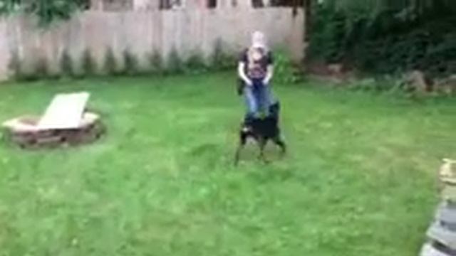Fauna смотреть онлайн