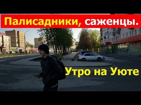 240420 Цветы палисадники клумбы саженцы двор улица Комсомольская магазин Эльдорадо Уют зубная г Оре смотреть онлайн
