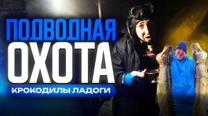 Крокодилы Ладоги: подводная охота за трофейными щуками.