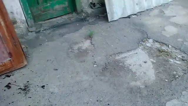 Дело было вечером... Холодное копчение. Часть 2 - вымачиваю, подвяливаю и копчу смотреть онлайн