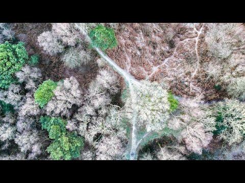 Views over Winterfold Woods and beyond - DJI Mini 4 PRO смотреть онлайн