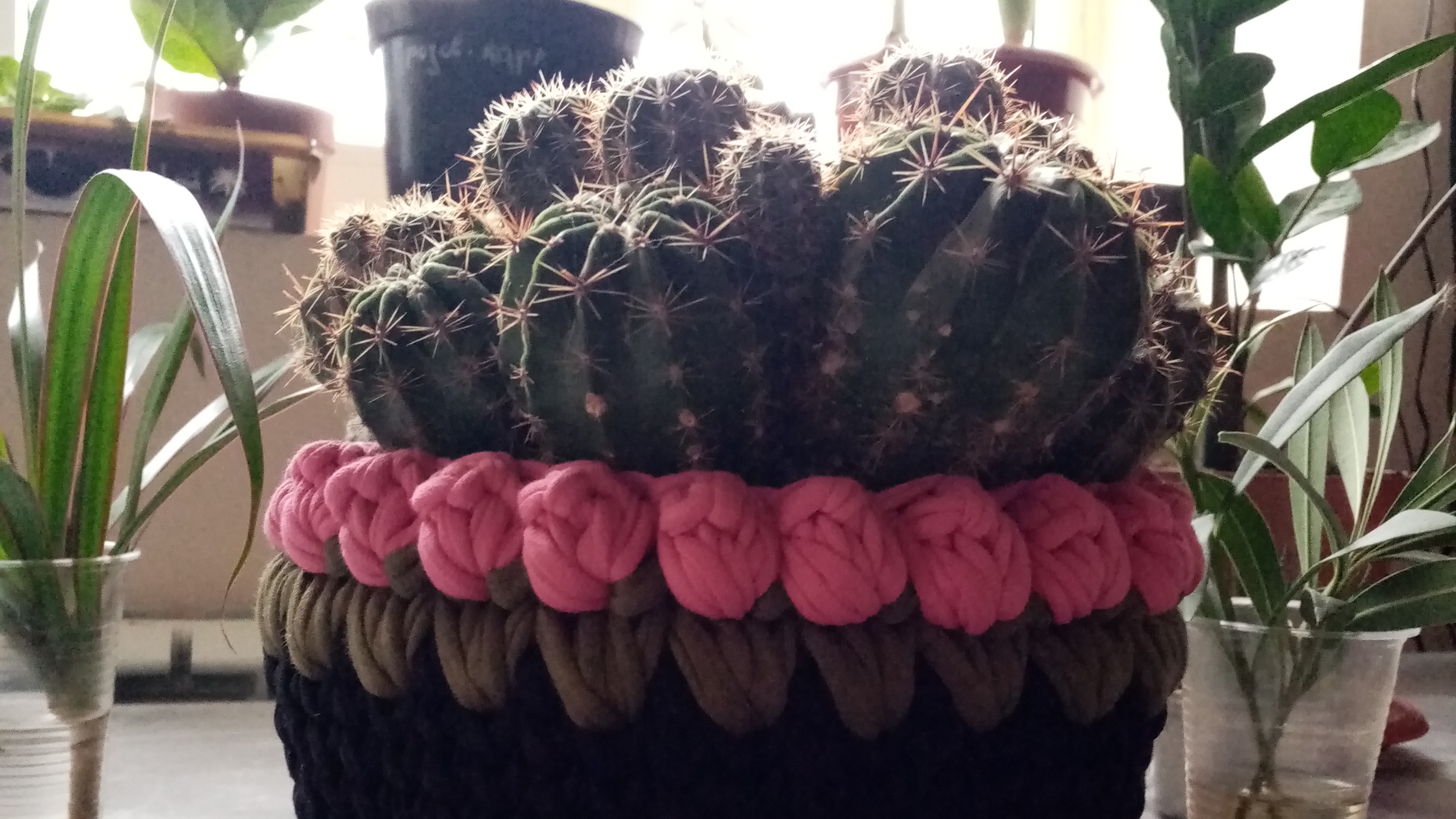 Вязанное кашпо 😘