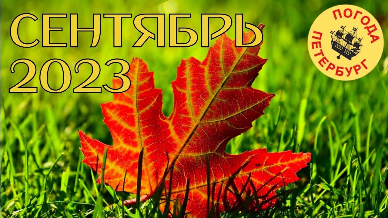 2023.09.01. Погода Петербург. 07:40. +18°. Пасмурно. день программиста смотреть онлайн