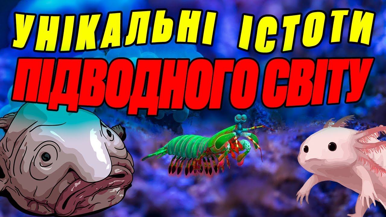 Унікальні Істоти Підводного Світу смотреть онлайн