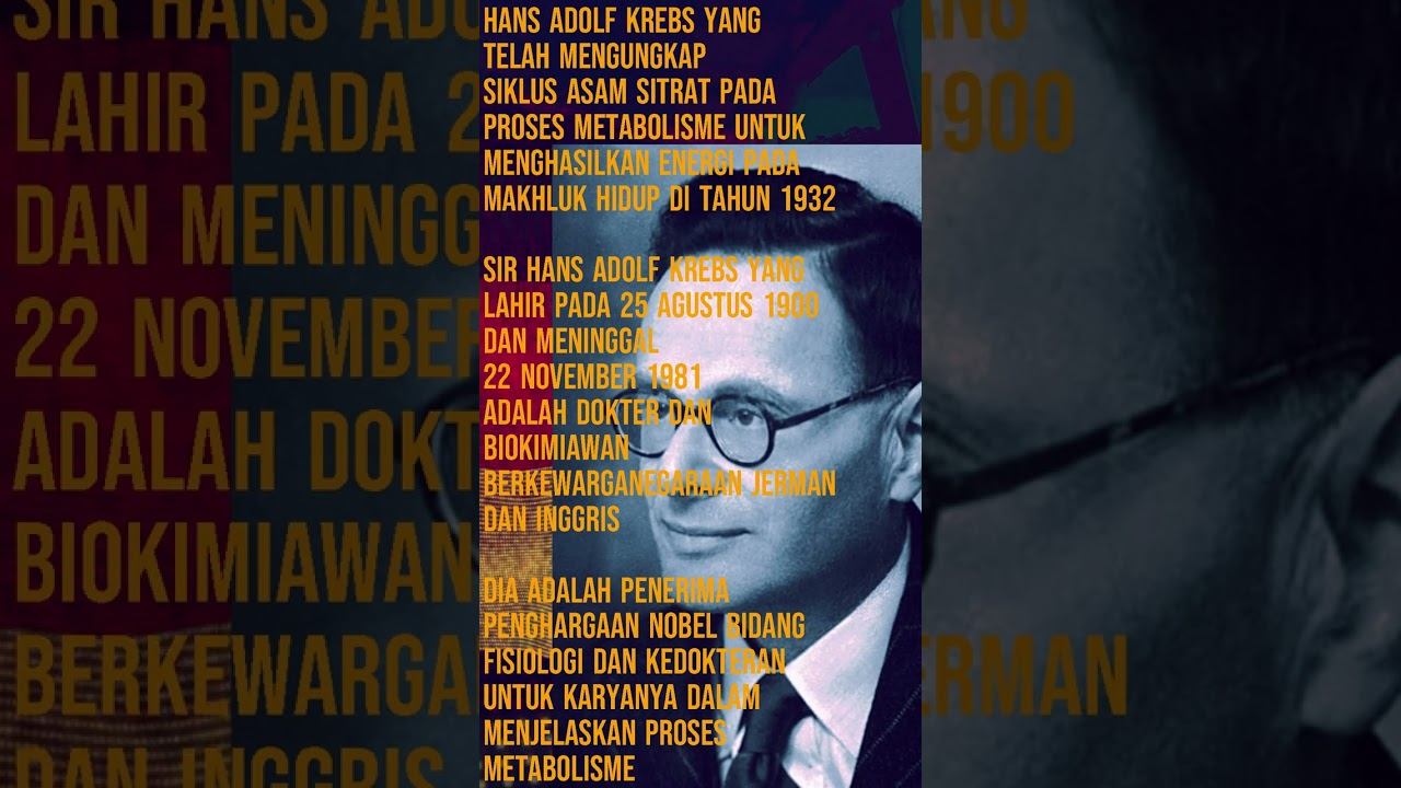 Dari mana nama Siklus Krebs смотреть онлайн
