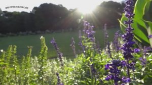 ЭТУ Молитву СЕРАФИМ САРОВСКИЙ Советовал Читать при Унынии и в моменты Отчаяния