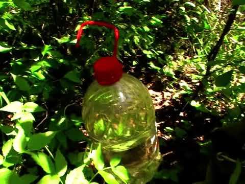MOV003 вода с болота смотреть онлайн