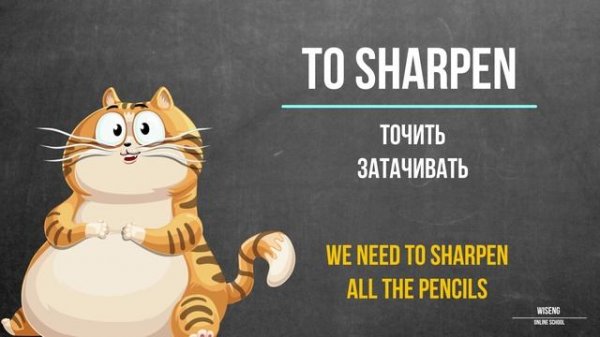 VERBS (MODULE 1, STARTER COURSE)