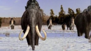 Прогулки с чудовищами часть 6