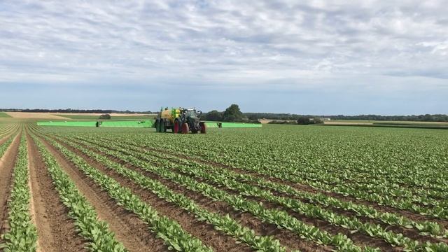 Dammann Profi-class Tandem 10000 | Fendt 828 | Spraying | RWT