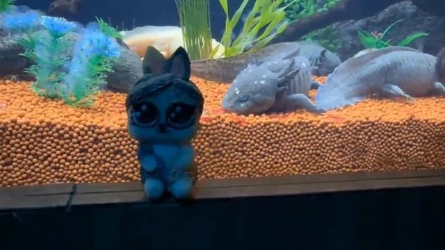 24 ЧАСА В ОКЕАНАРИУМЕ ! КТО НАЙДЁТ САМУЮ БОЛЬШУЮ КОТ МАЛЫШ И МУРКА ПРОТИВ КОТЯТ ЮГИ И ЯНИ смотреть онлайн