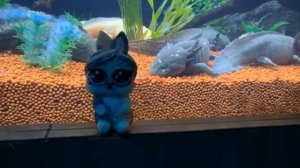 24 ЧАСА В ОКЕАНАРИУМЕ ! КТО НАЙДЁТ САМУЮ БОЛЬШУЮ КОТ МАЛЫШ И МУРКА ПРОТИВ КОТЯТ ЮГИ И ЯНИ