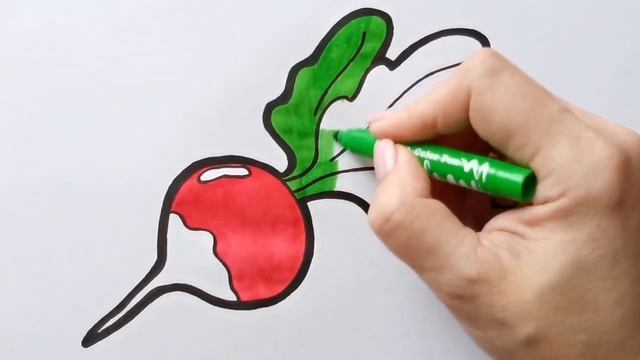 Как нарисовать РЕДИСКУ / раскраска для детей / Нарисуй Ка смотреть онлайн