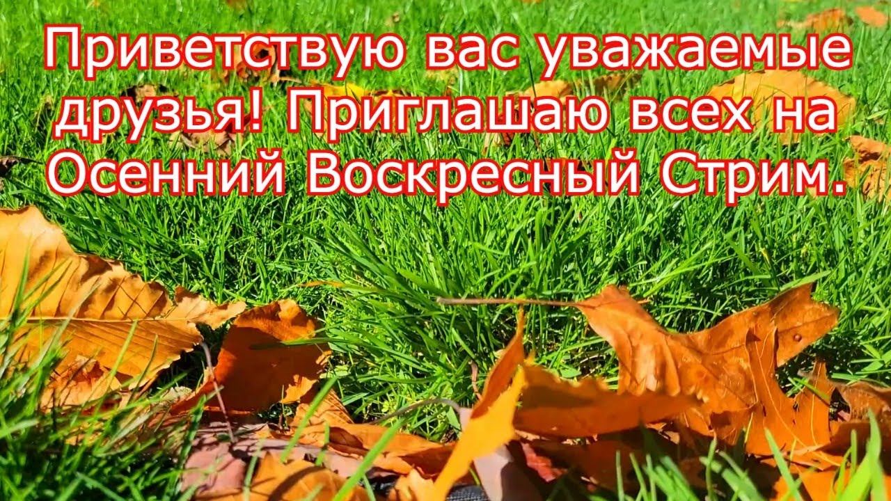 Приветствую вас уважаемые друзья! Приглашаю всех на Осенний Воскресный Стрим. смотреть онлайн