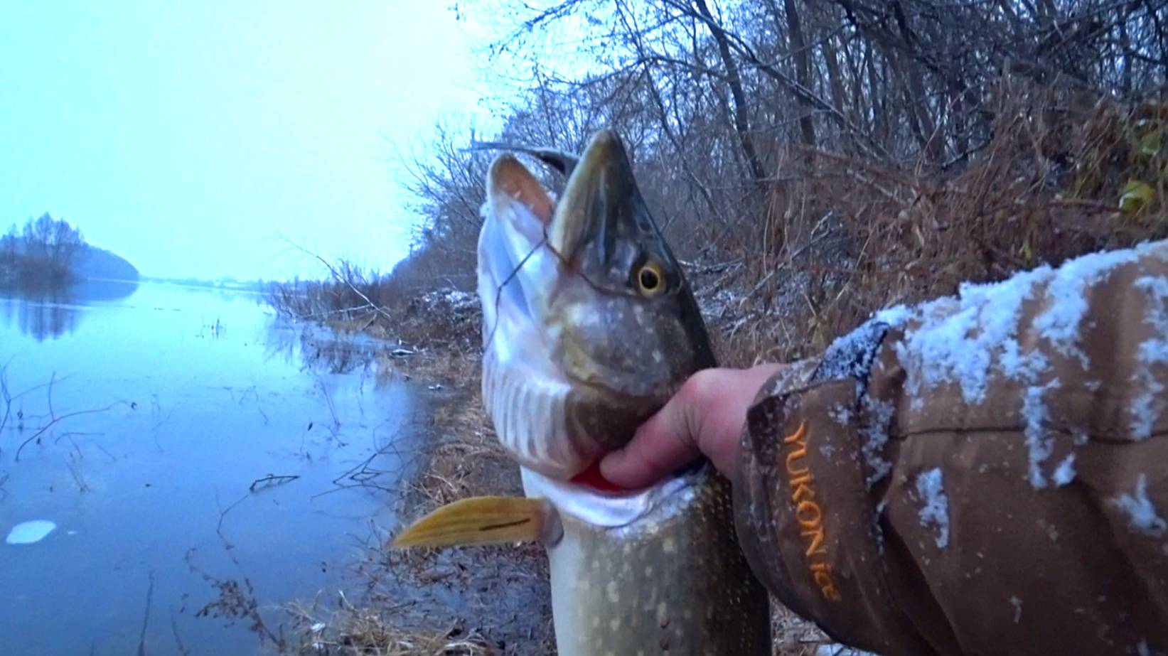 ЩУКИ на ЖИВЦА на ПОПЛАВОК 2024 ! Ловля ЩУКИ перед ледоставом! смотреть онлайн