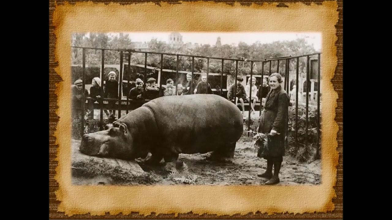 Тихий подвиг. Ленинградский зоосад в период блокады смотреть онлайн