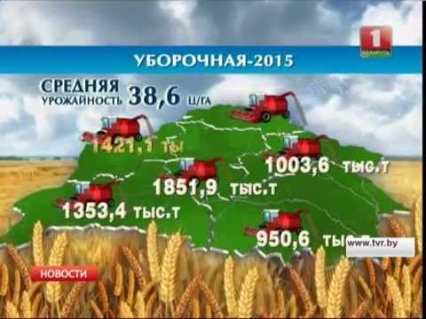 Белорусским аграриям осталось убрать 12% площадей смотреть онлайн