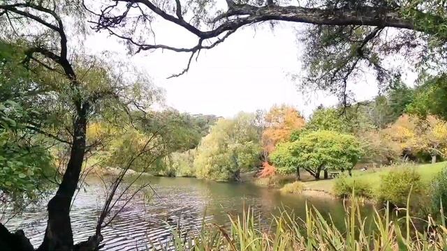 Mount Loft Botanical Garden смотреть онлайн