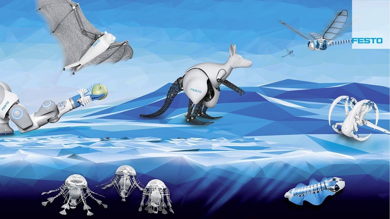 Festo | Odkoukáno v přírodě – Bionic Learning Network смотреть онлайн