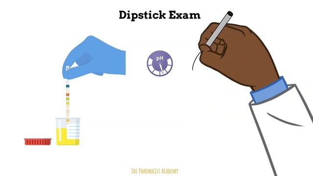 Urinalysis Interpretation QUICK and EASY смотреть онлайн