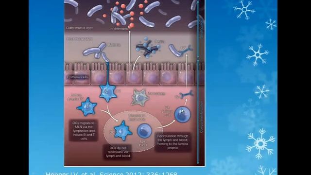 01/21/14 The Microbiome & Allergy/ Immunology смотреть онлайн