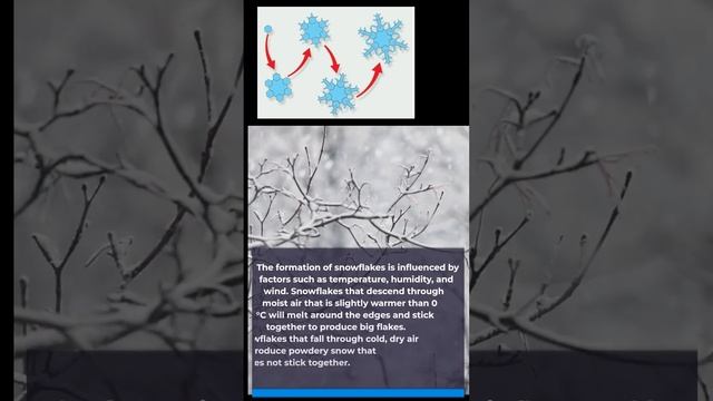 Why does it snow? #short #snow #snowformation #snowflakes #freezing #icecrystals #snowstorm смотреть онлайн