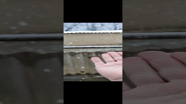 Через месяц новый год