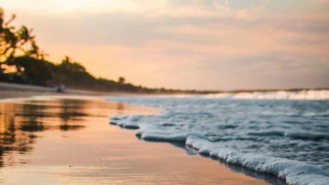 Слушать расслабляющую музыку природы. Музыка природы птицы. Спокойная музыка природы смотреть онлайн