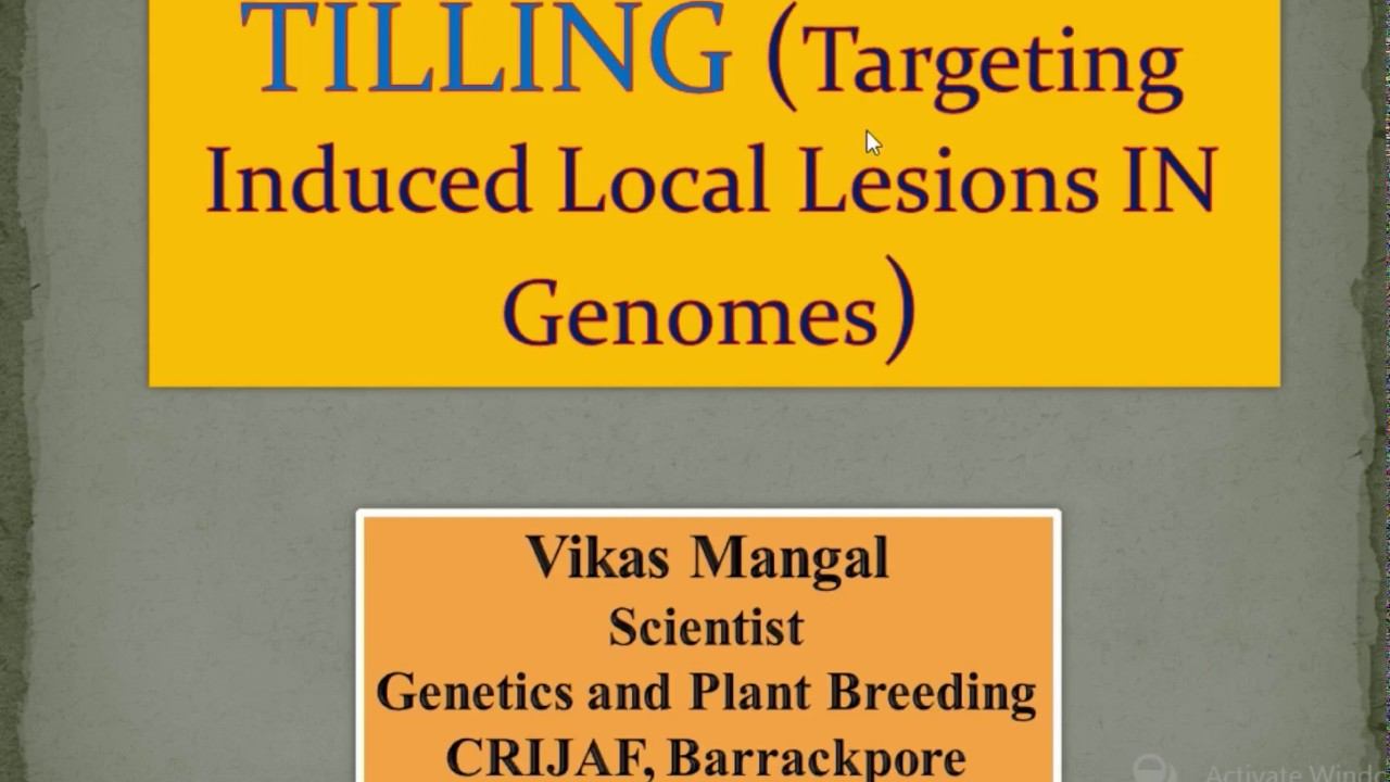 TILLING (Targeting Induced Local Lesions IN Genomes) | Vikas Mangal (Scientist, ICAR - CRIJAF) смотреть онлайн