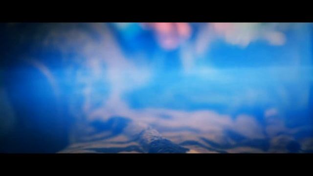 Home made anamorphic flare | DIY анаморфные блики смотреть онлайн