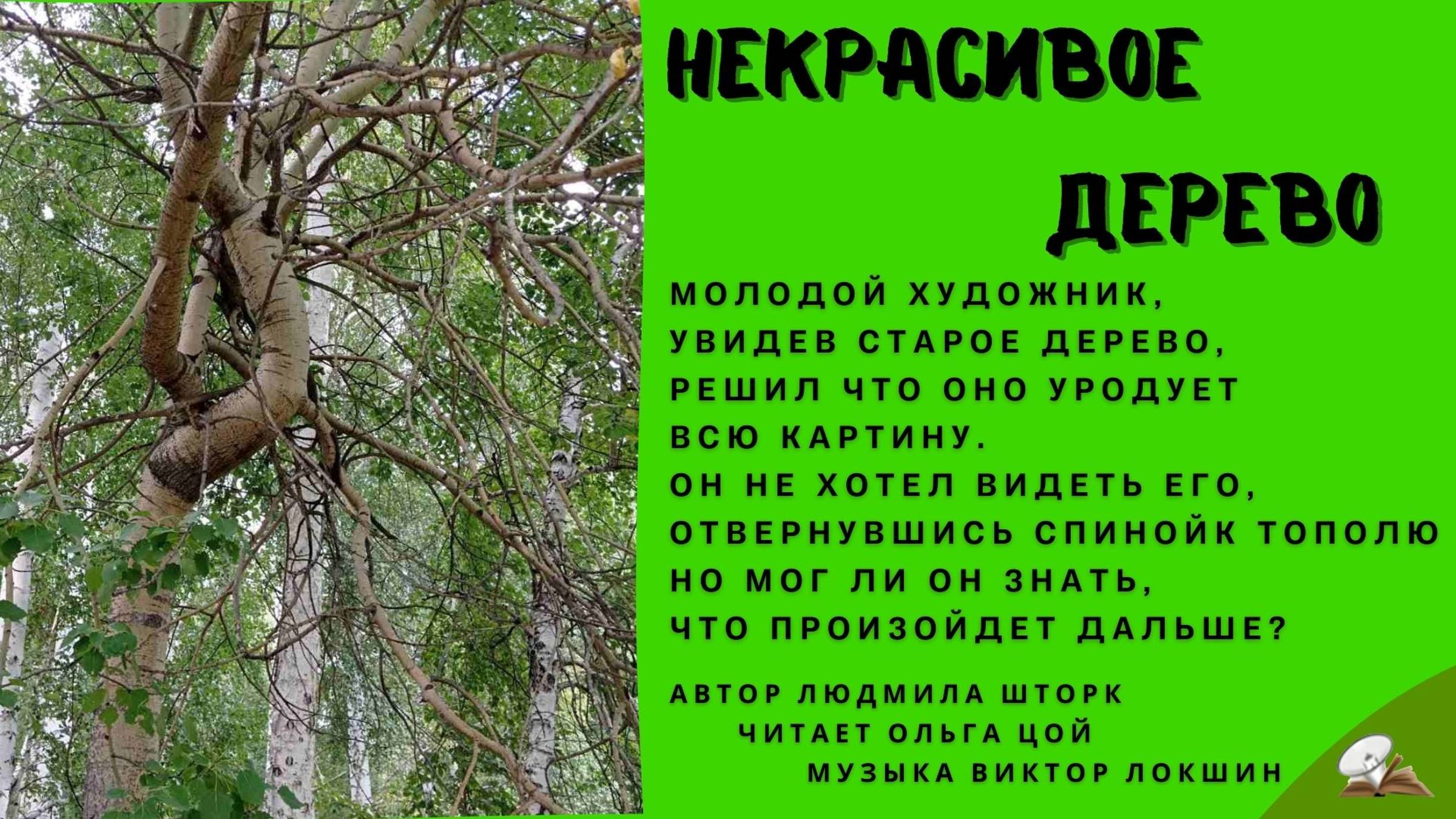 Некрасивое дерево смотреть онлайн