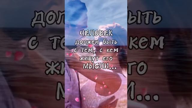 цитата... смотреть онлайн