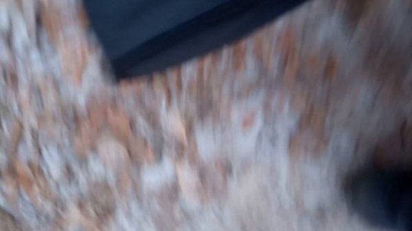 Сдохни или умри жив!