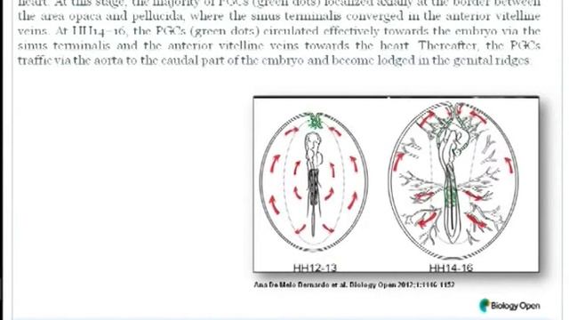 Gametogenesis - I смотреть онлайн