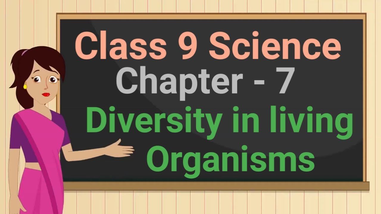 Class 9 Science Chapter 7 'Diversity in living organisms' (7.5 part1) Animal Kingdom cbse ncert смотреть онлайн