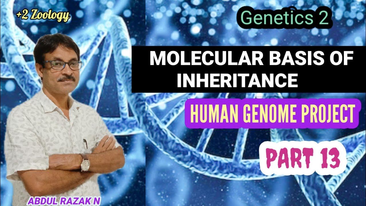HUMAN GENOME PROJECT | Molecular basis of inheritance| PART 13 | +2 Zoology смотреть онлайн