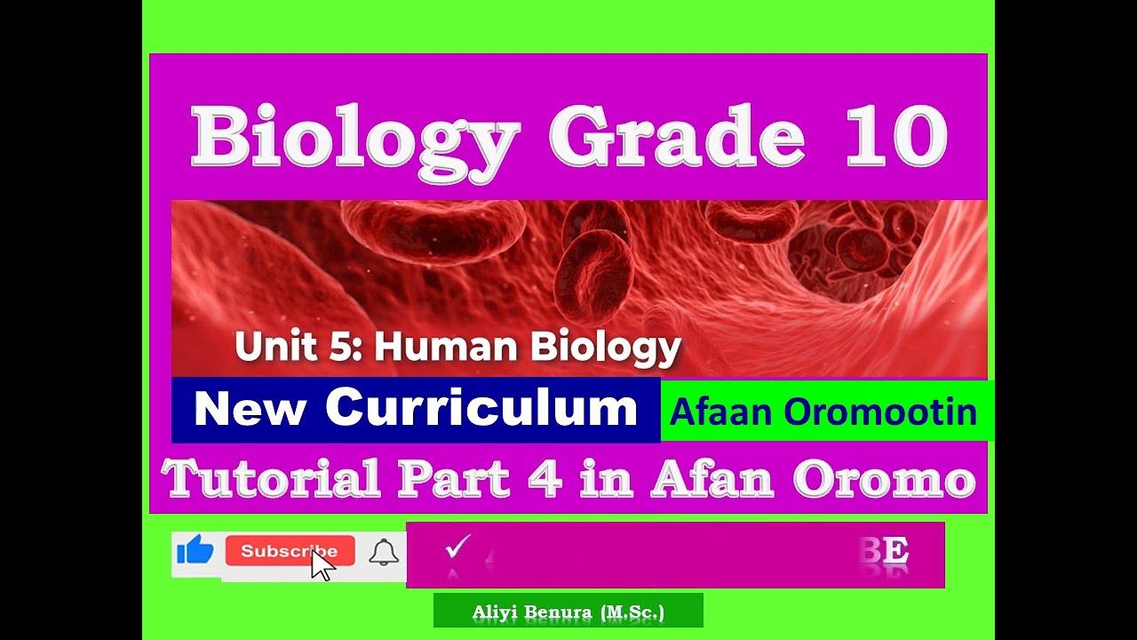 Biology Grade 10 Unit 5 Human Biology Tutorial Part 4 in Afan Oromo смотреть онлайн